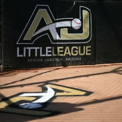 Baseball BackStop Folding Pad 2 Inch x 4x10 Ft.