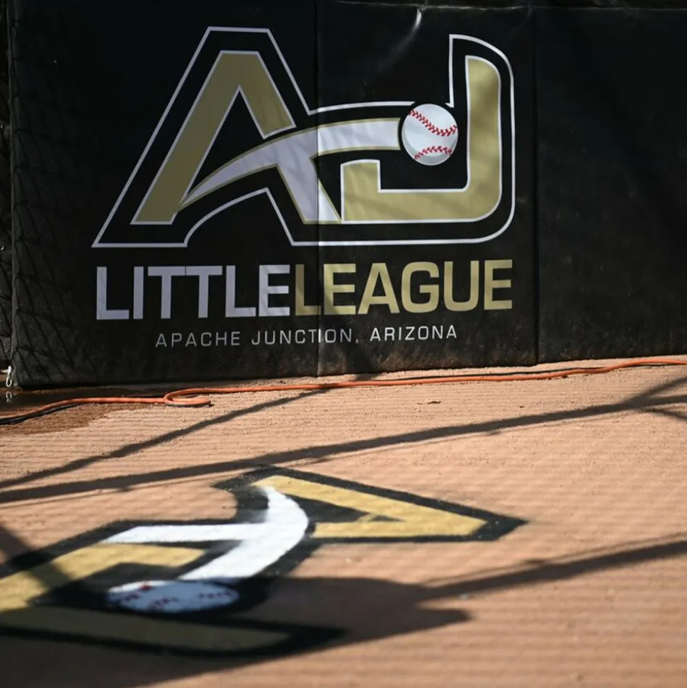 Baseball BackStop Folding Pad 2 Inch x 4x10 Ft.