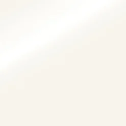 Brilliance High Shine Event Floor 2 mm x 4.9x81.9 Ft.