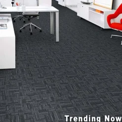 Daily Wire Commercial Carpet Tiles 3.2 mm x 24x24 Inches Carton of 24