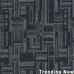 Daily Wire Commercial Carpet Tiles 3.2 mm x 24x24 Inches Carton of 24
