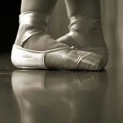 Dance and Stage Pro Full Roll 2.5 mm x 6x60 Ft.
