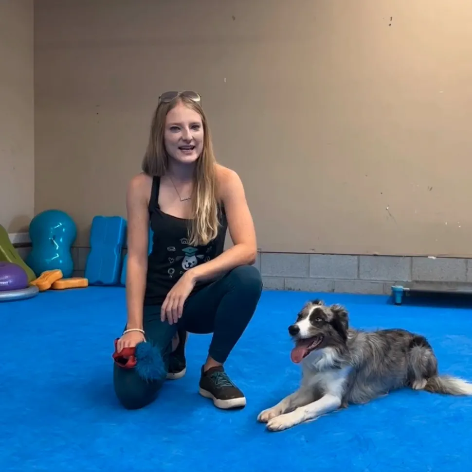 Dog Agility Mats Interlocking Tiles 3/4 Inch x 1x1 Meter