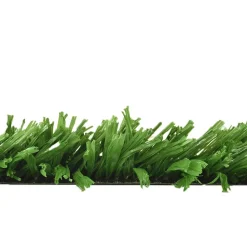 EasyPlay Landscape Artificial Grass Turf 2 Inch x 15 Ft. Wide per SF