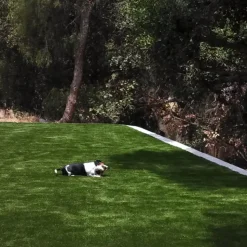 Endless Summer Artificial Grass Turf 1-5/8 Inch x 15 Ft. Wide Per SF