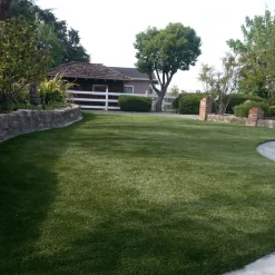 Endless Summer Artificial Grass Turf 1-5/8 Inch x 15 Ft. Wide Per SF