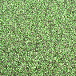 Envirofill 50 lbs Green/Black Blend Putting Green 30/50 Mesh