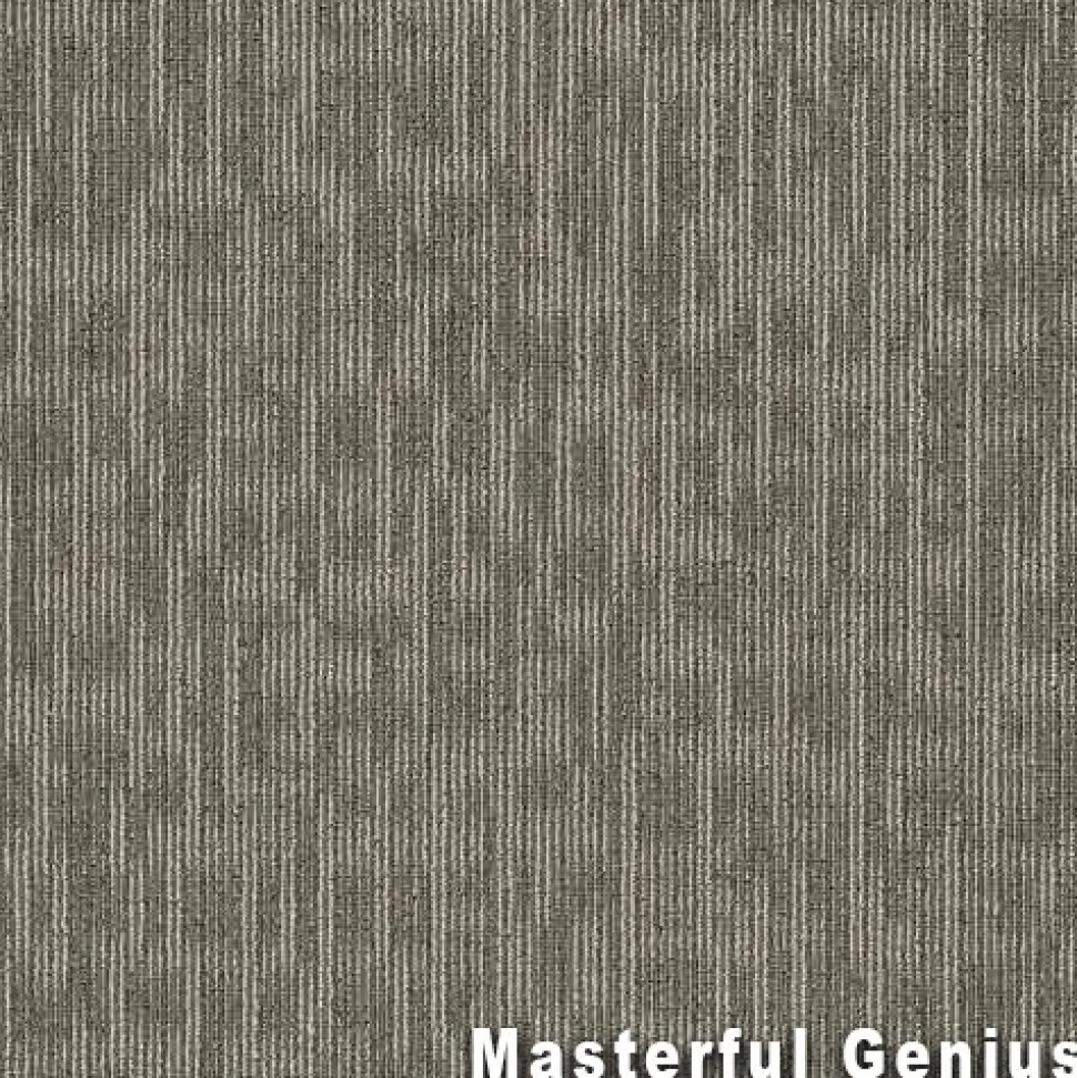 Genius Commercial Carpet Tiles 6.3 mm x 24x24 Inches 20 Per Case