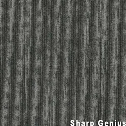 Genius Commercial Carpet Tiles 6.3 mm x 24x24 Inches 20 Per Case