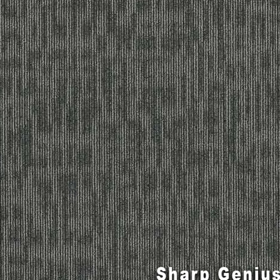 Genius Commercial Carpet Tiles 6.3 mm x 24x24 Inches 20 Per Case
