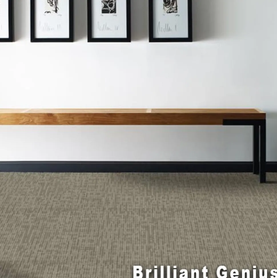 Genius Commercial Carpet Tiles 6.3 mm x 24x24 Inches 20 Per Case