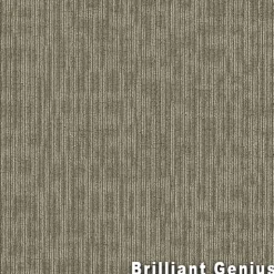 Genius Commercial Carpet Tiles 6.3 mm x 24x24 Inches 20 Per Case