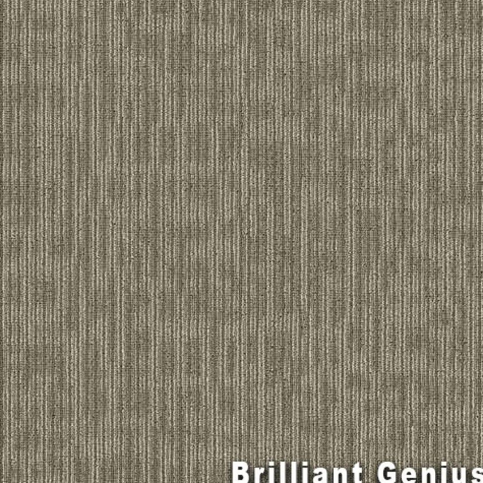 Genius Commercial Carpet Tiles 6.3 mm x 24x24 Inches 20 Per Case