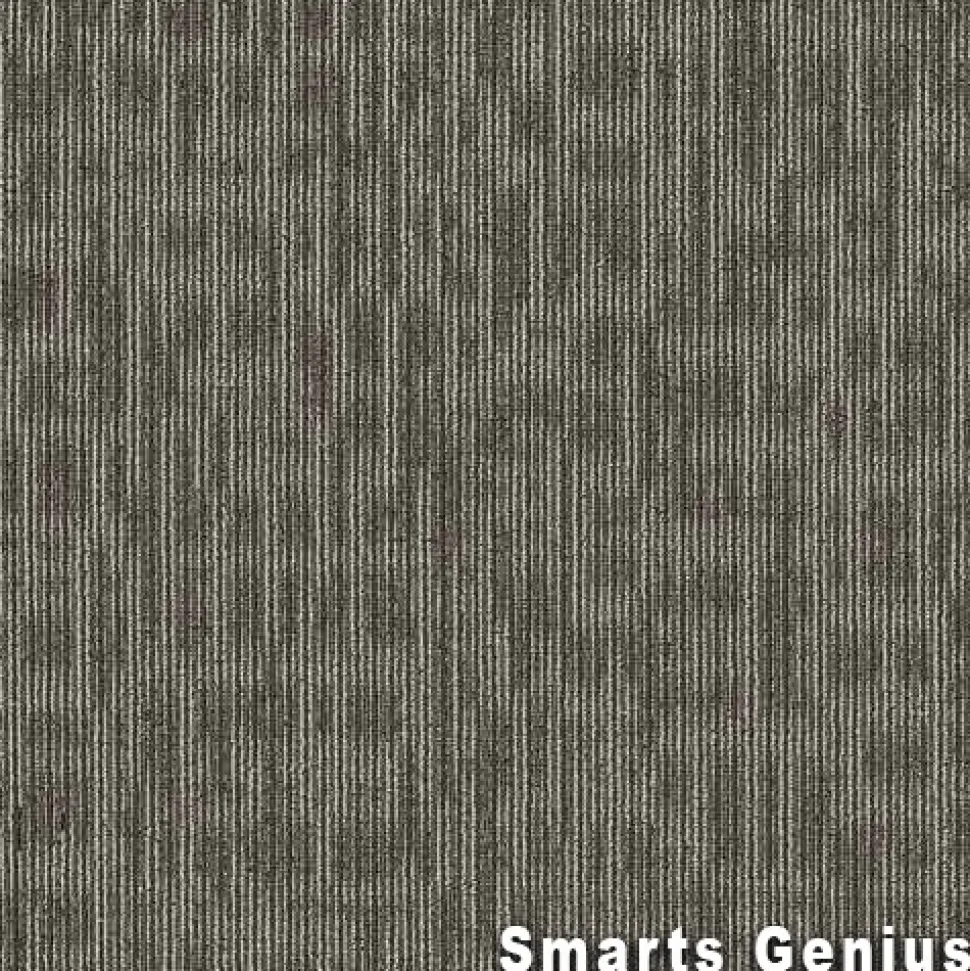 Genius Commercial Carpet Tiles 6.3 mm x 24x24 Inches 20 Per Case