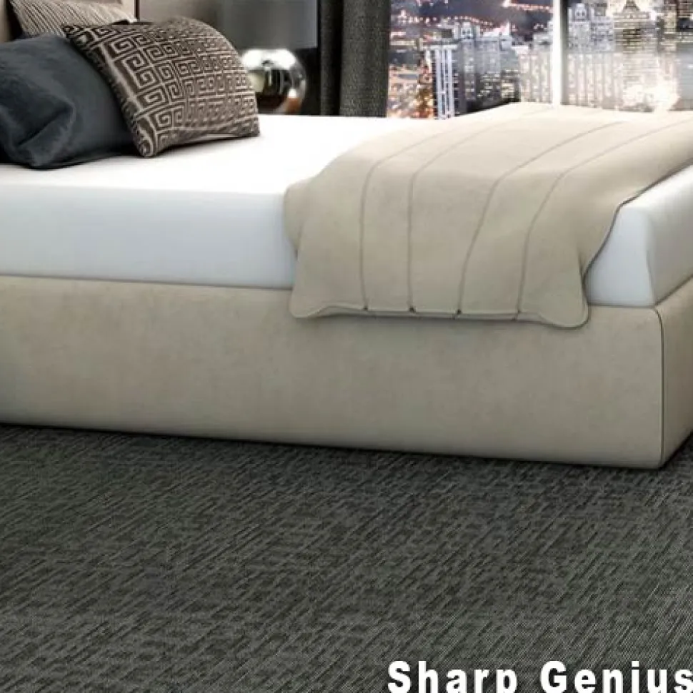 Genius Commercial Carpet Tiles 6.3 mm x 24x24 Inches 20 Per Case