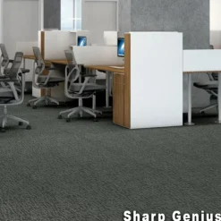 Genius Commercial Carpet Tiles 6.3 mm x 24x24 Inches 20 Per Case