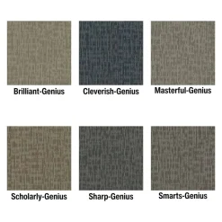 Genius Commercial Carpet Tiles 6.3 mm x 24x24 Inches 20 Per Case