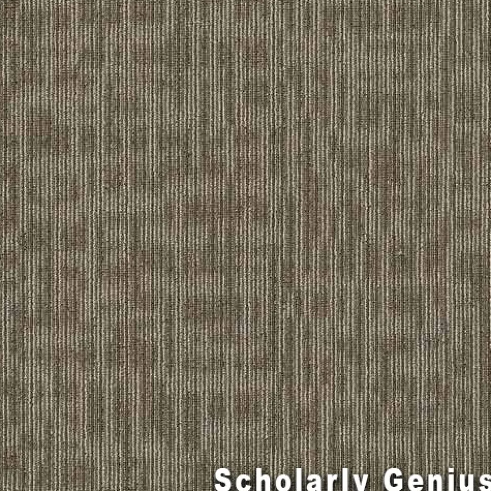 Genius Commercial Carpet Tiles 6.3 mm x 24x24 Inches 20 Per Case