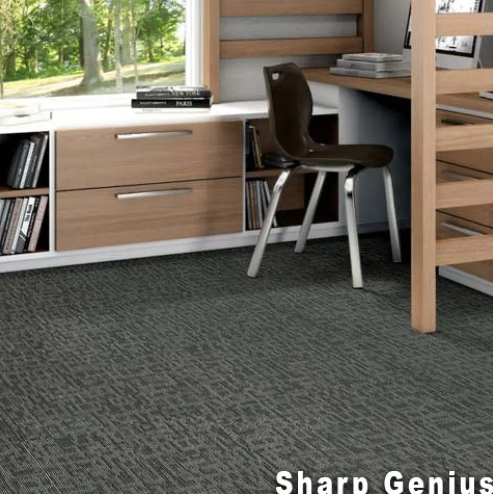 Genius Commercial Carpet Tiles 6.3 mm x 24x24 Inches 20 Per Case