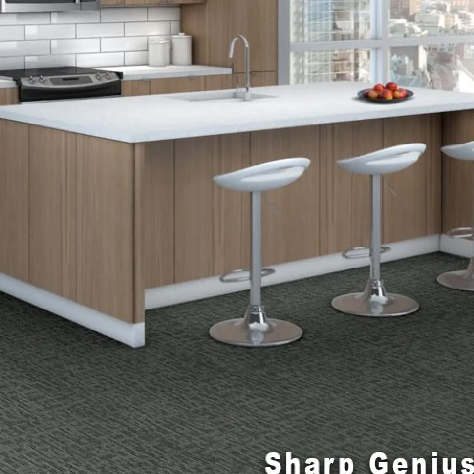 Genius Commercial Carpet Tiles 6.3 mm x 24x24 Inches 20 Per Case