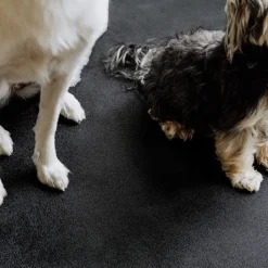 G-Floor Protective Kennel Floor Mat Levant Texture 1.4 mm x 5x10 Ft.