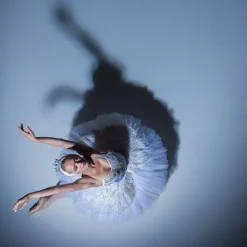 Greatmats Reversible Dance Full Roll Black/Gray 5.25x131 Ft.