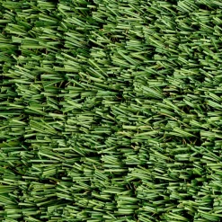 Greatmats Select Landscape Turf 1-1/2 Inch x 15 Ft. Wide per LF