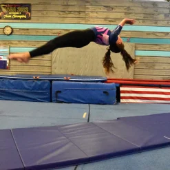 Gym Mats 2 Inch x 4x8 Ft. V4 18 oz