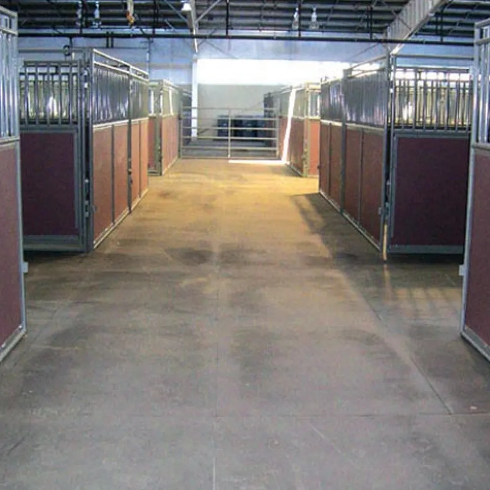 Horse Stall Interlocking 6 Ft. Border Mat Cobblestone 3/4 Inch x 4x6 Ft.