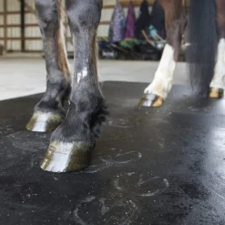 Horse Stall Mat Classic Interlocking 3/4 Inch x 10x12 Ft. Kit