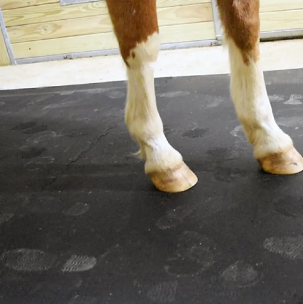 Horse Stall Mats Kit Cobblestone 3/4 Inch x 12x12 Ft.