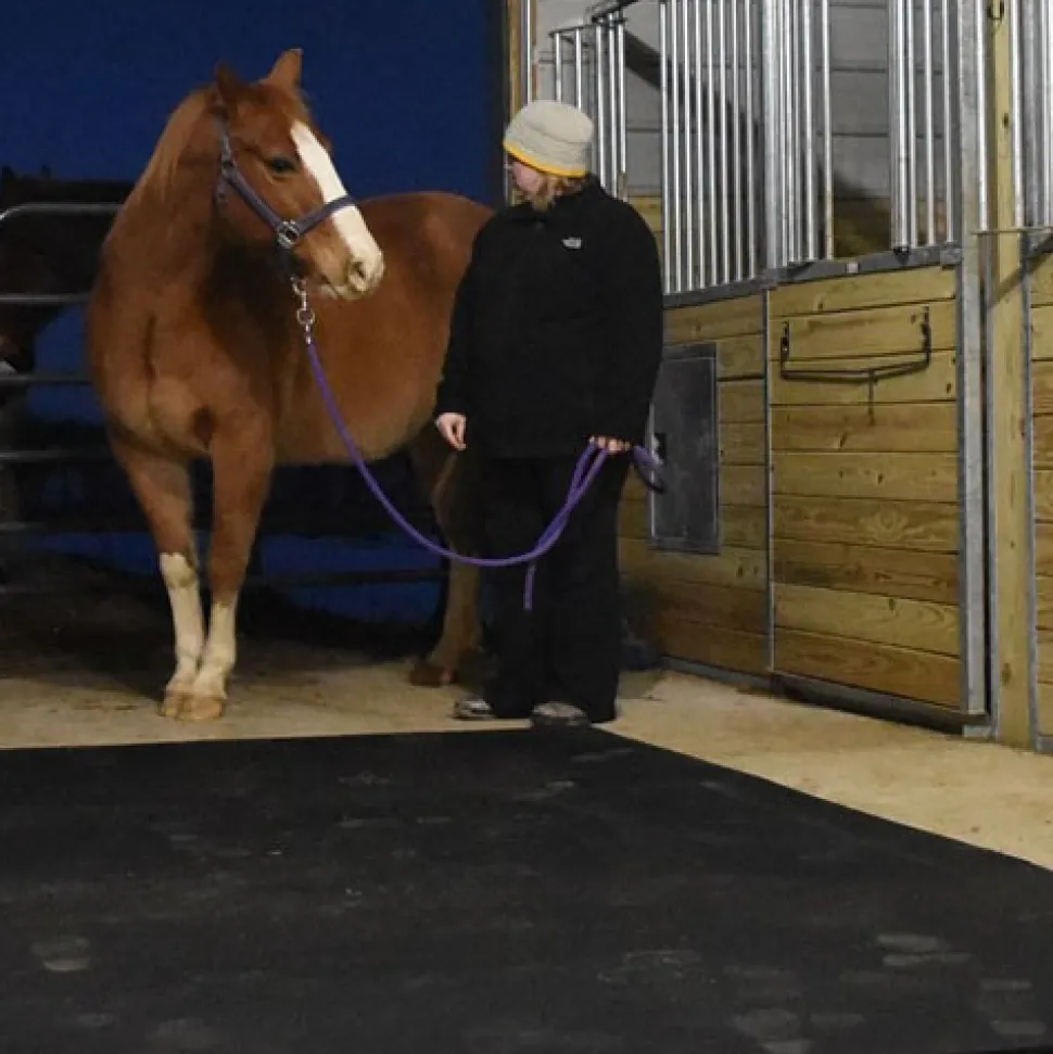 Horse Stall Mats Kit Cobblestone 3/4 Inch x 12x12 Ft.