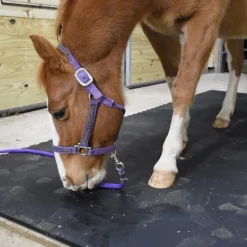 Horse Stall Mats Kit Cobblestone 3/4 Inch x 12x14 Ft.