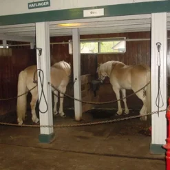 Horse Stall Mats Kit 16x18 Ft.