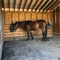 Horse Stall Mats Straight Edge Cobblestone 3/4 Inch x 4x6 Ft.