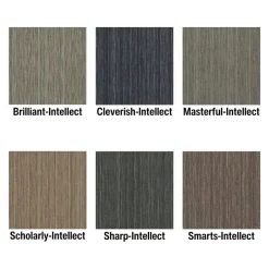 Intellect Commercial Carpet Tiles 6.3 mm x 24x24 Inches 20 Per Case