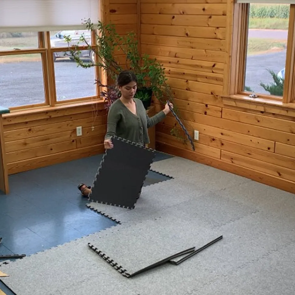 Interlocking Carpet Tiles Royal 10x10 Ft Kit