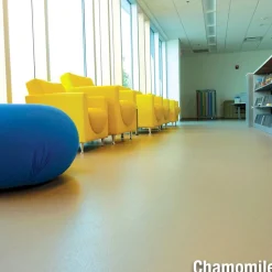 LonEco Commercial Vinyl Rolls with Topseal 6x60 Ft
