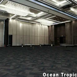 Magnify Commercial Carpet Tiles 1/4 Inch x 24x24 Inches Carton of 18