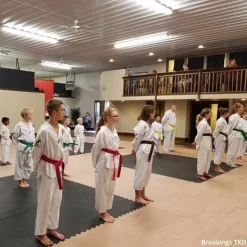 Martial Arts Karate Mat Premium 1 Inch x 1x1 Meter