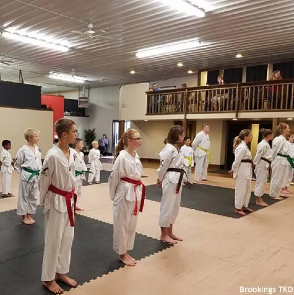 Martial Arts Karate Mat Premium 1 Inch x 1x1 Meter