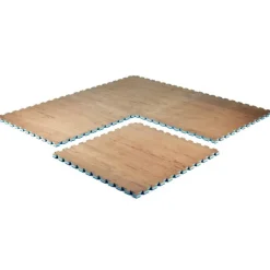 Martial Arts Karate Mat Premium 1 Inch x 1x1 Meter