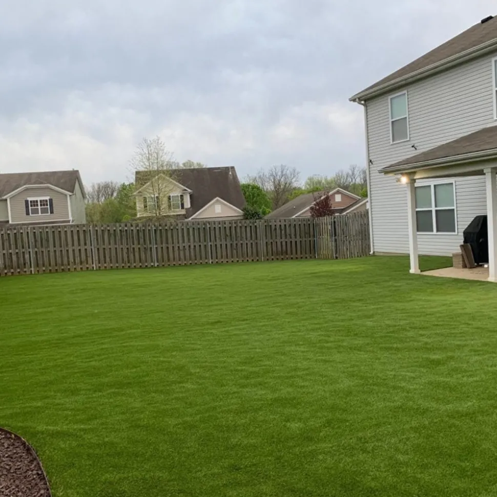 Natures Cut Artificial Grass Turf 1-1/8 Inch x 15 Ft. Wide Per SF