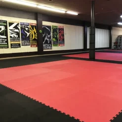 Pro Taekwondo Martial Arts Mats 20 mm x 1x1 Meter