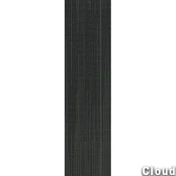Reverb Commercial Carpet Planks 1/4 Inch x 12x48 Inches Carton of 14