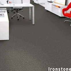 Scholarship II Commercial Carpet Tiles 2.9 mm x 24x24 Inches Carton of 24