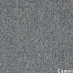 Scholarship II Commercial Carpet Tiles 2.9 mm x 24x24 Inches Carton of 24