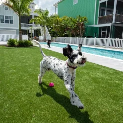Simply Natural Tall Artificial Grass Turf 2 Inch x 15 Ft. Wide per SF