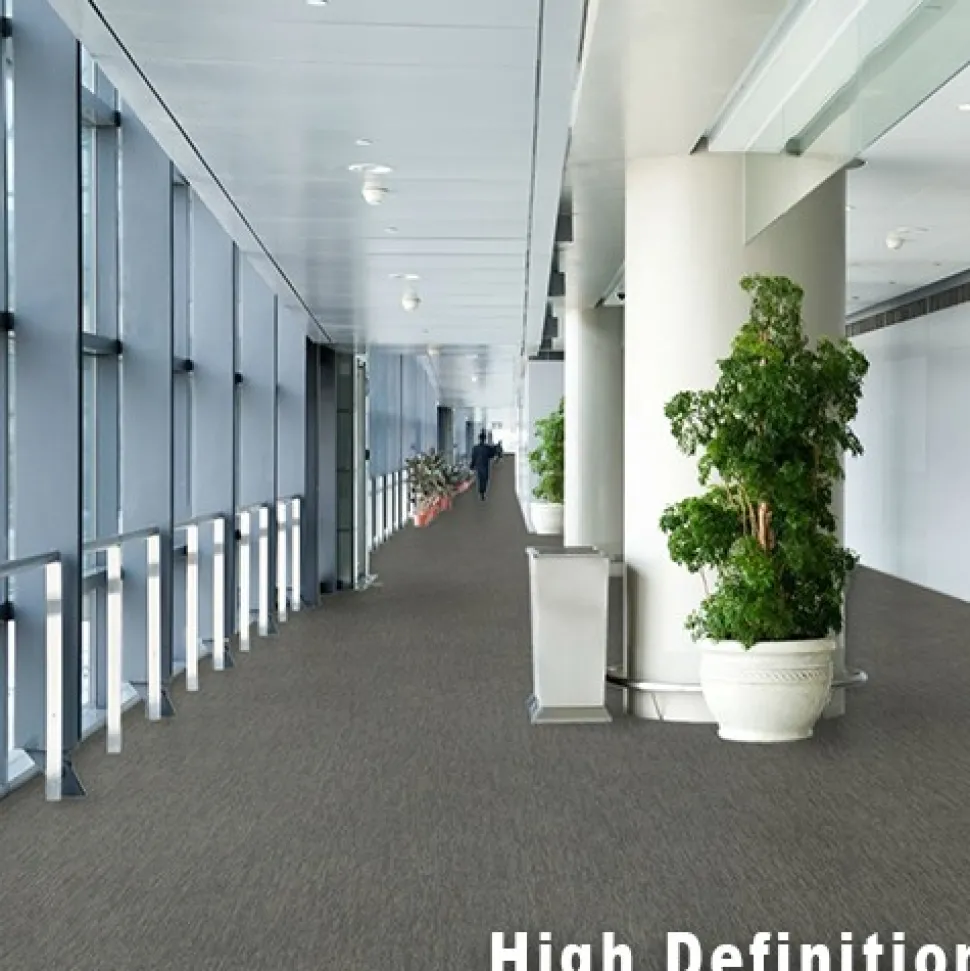 Streaming Commercial Carpet Tiles 5 mm x 24x24 Inches 18 Per Case