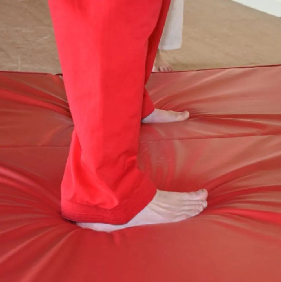 Training Crash Mat Bi-Fold 5x10 Ft. x 4 Inch